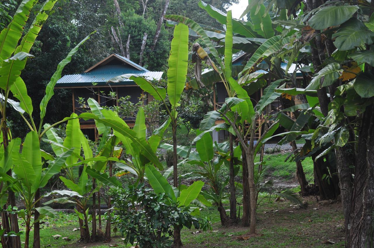 Natura Lodges Ojochal Exteriör bild